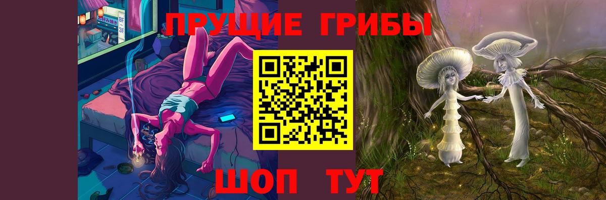 Галлюциногенные грибы Cubensis  Вход с VPN  Междуреченск 